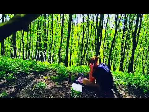 Jammin' in the woods II... (Darkpsy/Psytrance) Korg Electribe 2s only