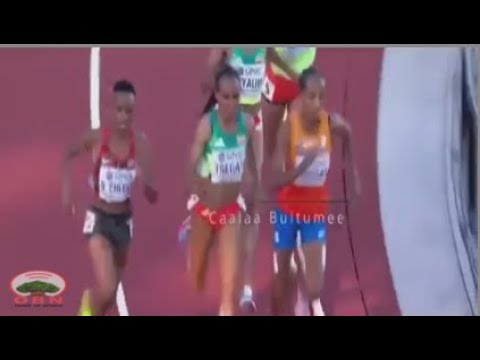 Aartist Caalaa Bultumee Welluu Urjiiwwaniif