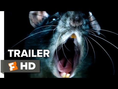 Rats