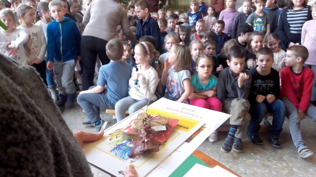 Madáretető-építő verseny díjkiosztója 2017.12.