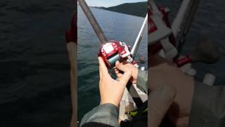 Электрокатушки для рыбалки