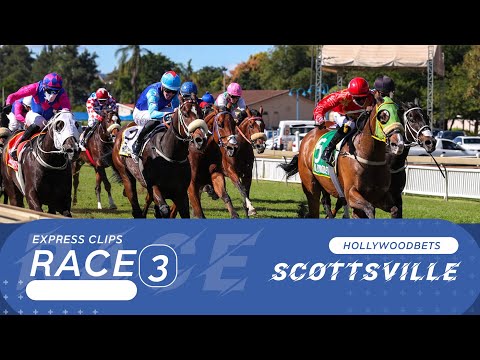 20230910 Hollywoodbets Scottsville Express Clip Race 3 won by PRETTY ANALIA