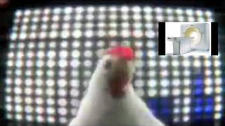 I wish she'd said something when everyone was working out the details of the health care bill. Chickencare would have been amazing. :( [Via TPM.]