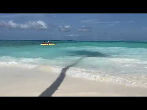 Kayaking at Maldives @ $20 || Kayak || Maldives resorts || Indian Ocean