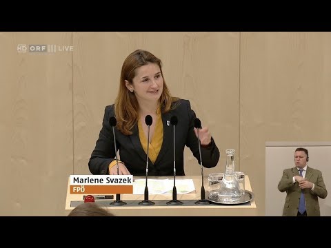 Marlene Svazek - Budgetbegleitgesetz (Budget 2018, 2019) - 17.4.2018
