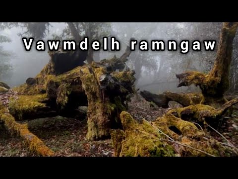 Vawmdelh Ramngaw ah thil mak (Paranormal)