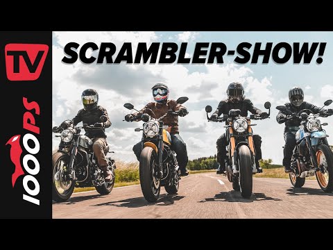 So gleich und doch verschieden! - Ducati Scrambler Vergleich 2021