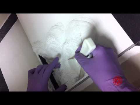 3D Print Zbrush Bust. ZPrinter Workflow Z510 Spectrum.