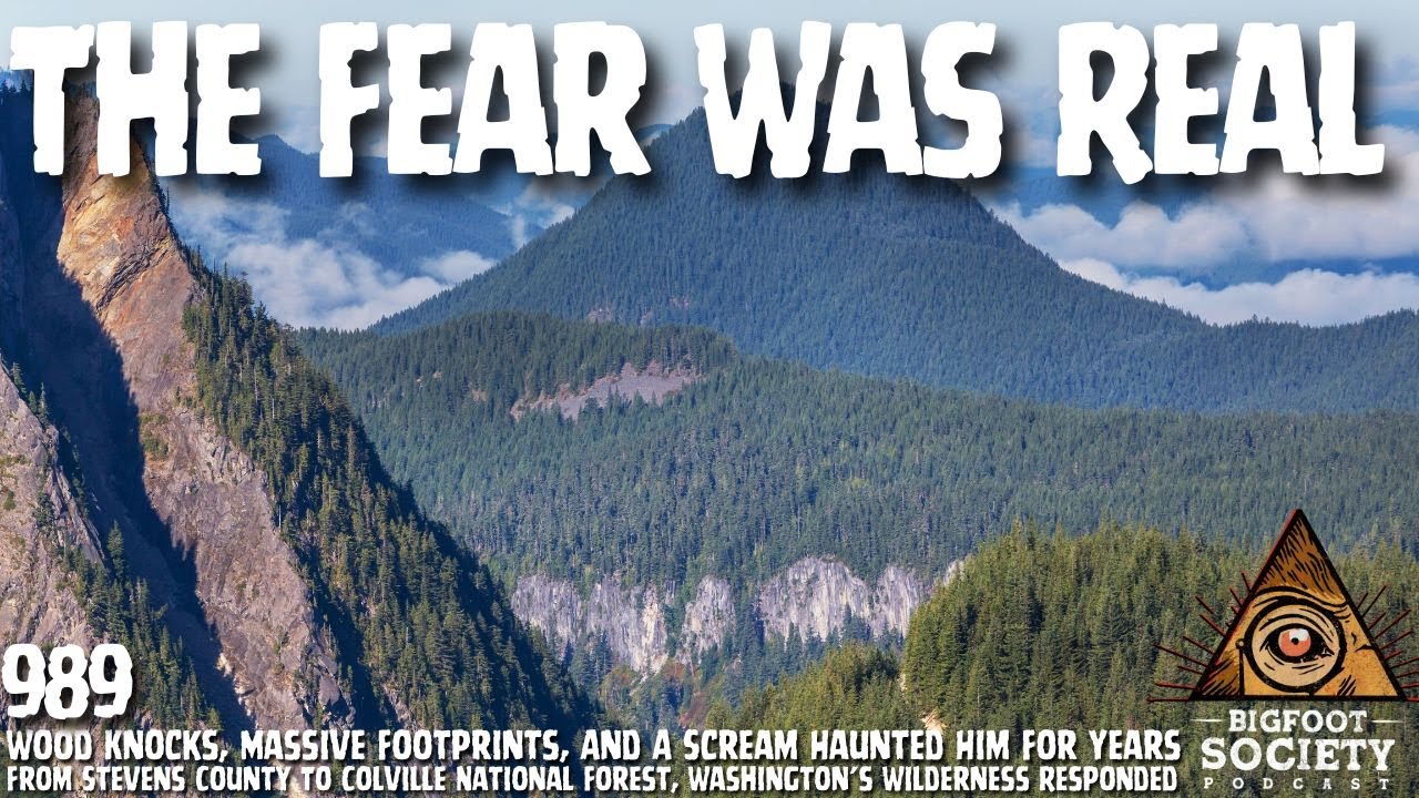 Late-Night Encounter In Colville National Forest Leaves Witness Shaken