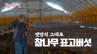 군위 참나무 표고버섯 채움농장을 찾다 | 농부의 땀 라이브커머스