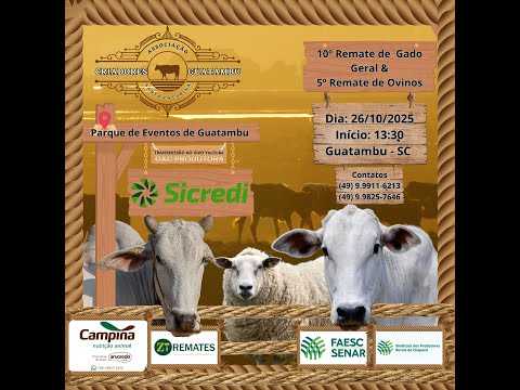 🐂 X Remate de Gado Geral e 🐑 V Remate de Ovinos, 📍 Guatambu, dia 🗓️ 26/10, Domingo. ⏰ 13:30 hs.