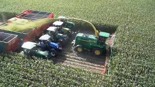 Chopping 20 rows of corn with Kemper