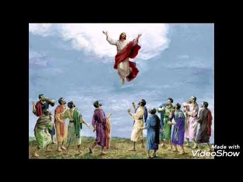 FAARFATTUU QIDDIST WAGANEE FAARFANNAA HAARAA BARA 5/102013 subscribegodhaa(2)