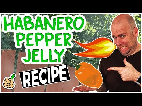 How to Make Habanero Pepper Jelly Recipe (No Glove Edition)