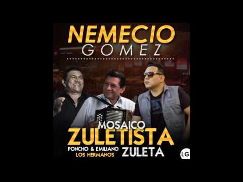 Nemecio Gomez  - Mosaico Zuletista