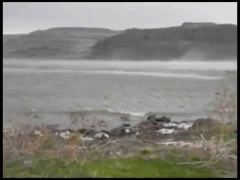 Disco Inferno: Hector Zazou, Barbara Eramo, Stefano Saletti