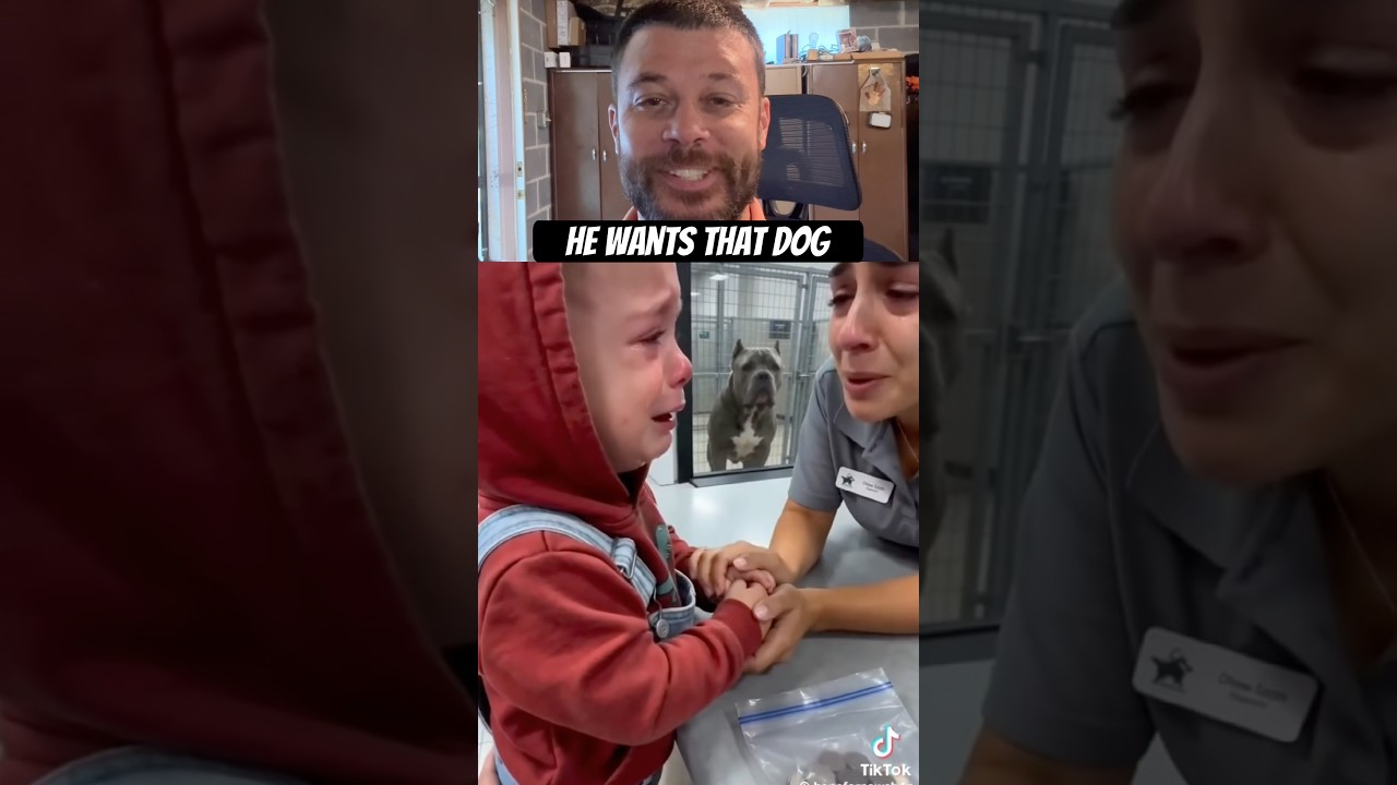 used his piggy bank money for dog #aww #kids #dogs