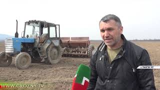 Чеченские аграрии начали готовиться к весеннему посеву