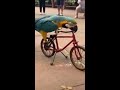Cycle Cycle Mari Sonani Cycle New Video Cycle Cycle Mari Sonani Cycle