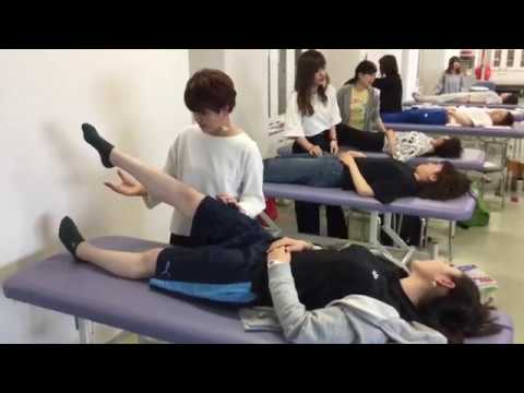 看護学科 学科紹介(入学〜卒業後の活躍)