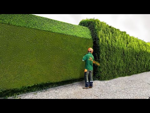 Die unglaublichsten Videos von Bauarbeitern, die ihre Arbeit perfekt erledigen #5