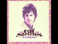 Cat Stevens - School is Out.wmv