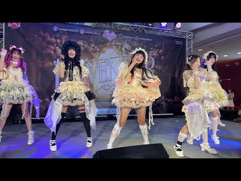 [Fancam] Castella - Yume wo Miyou [4K] 20241215 @Castella 10th Single First Performance "Revenger"