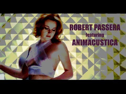 ROBERT PASSERA featuring ANIMACUSTICA - champagne music