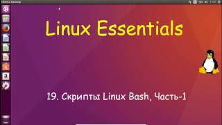 19.Linux для Начинающих - Скрипты Linux Bash, Часть-1