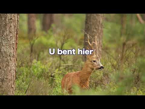 Opwekking 837 Toon ons uw glorie 1B