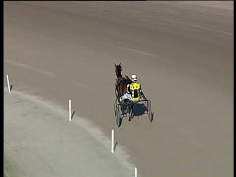 Trotto 18/12/2018 - prova di qualifica