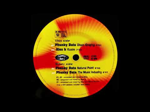 Phunky Data - The Music Industry