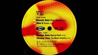 Phunky Data - The Music Industry