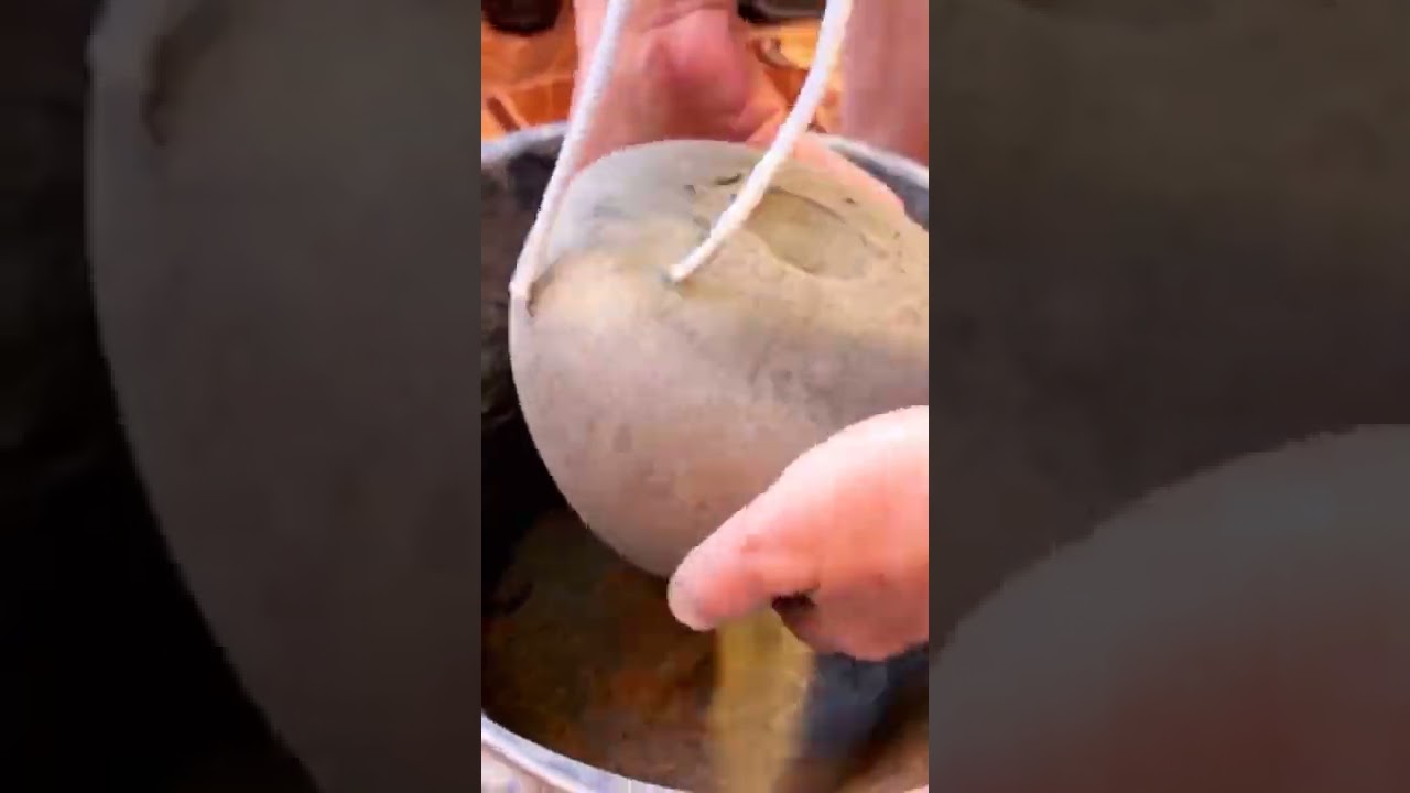 Wow.😱Very useful diy trick🤩 |☘️🌱#lifehack #diy #trending #satisfying #shorts #short #youtubeshorts