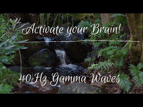 ACTIVATE your BRAIN | 40Hz Gamma Brain frequencies with relaxing ambient nature sounds