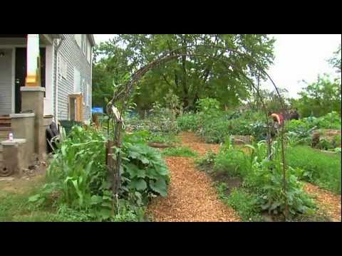 Urban Homesteaders