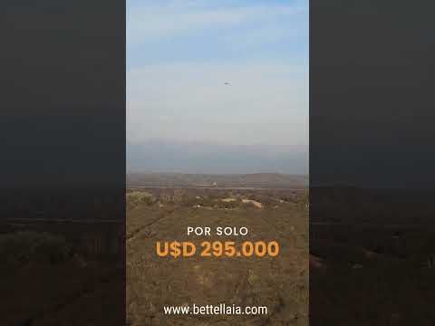 FINCA LA VIÑA  - SALTA - ARGENTINA