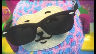 PIKMI POPS | Meet the Purr the Siamese Cat ♥