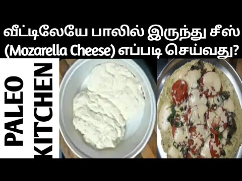 download lagu mp3 mp4 Mozzarella Paleo, download lagu Mozzarella Paleo gratis, unduh video klip Mozzarella Paleo