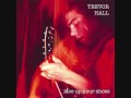 Trevor Hall Lace Up Your Shoes - With Lyrics 