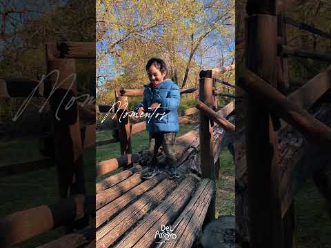 Momentos únicos