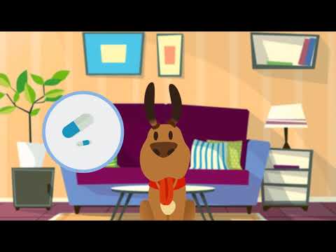 Calmatrol Calming Treatment & Relief 12-25 lbs (10 capsules) Video