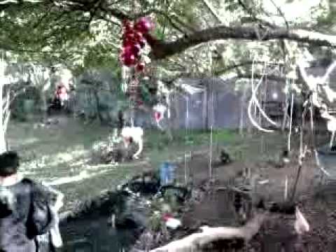 ajin & fetch by d pond