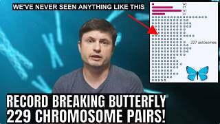 Butterfly With 229 Chromosome Pairs Breaks Animal Kingdom Record