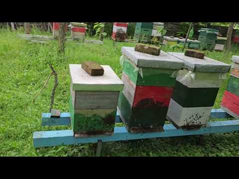 KAKO POJAČATI OD JEDNE.7.DRUŠTAVA.22.05.2024