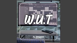 Download lagu W.U.T mp3