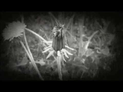 Necrologia – Roman Sidorov (06.02~20.09.Genosse.V.19)