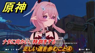 原神　リンネアの伝説任務　正しい道を歩むこと④　ナタに向かい、特訓をする　帰途の羽ばたき　予見鳥の章第一幕　LunaⅥ追加ストーリー　＃１５　【gensin】