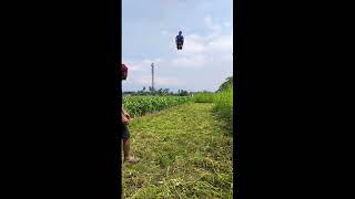 Download lagu Trend Wut Wut Wut Viral Tiktok - Dj Kau Telah Dewasa #shortvideo #trendtiktok2025 mp3