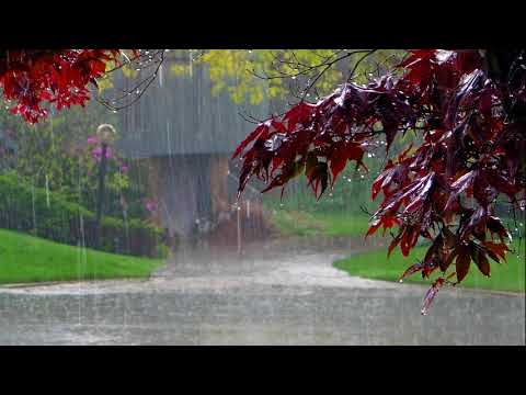 Anjey Satori - Rain Surround
